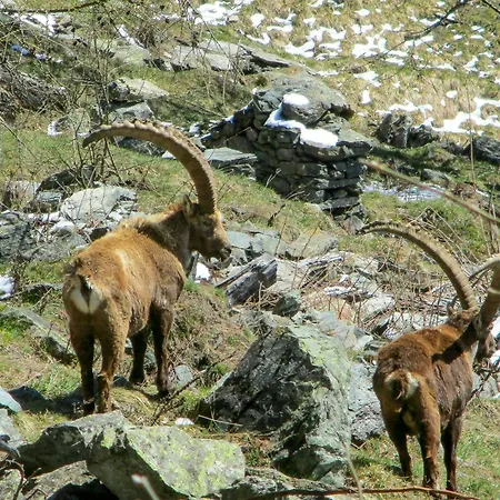 Stone With Views Over Balme Valley Σπίτι διακοπών Ala di Stura